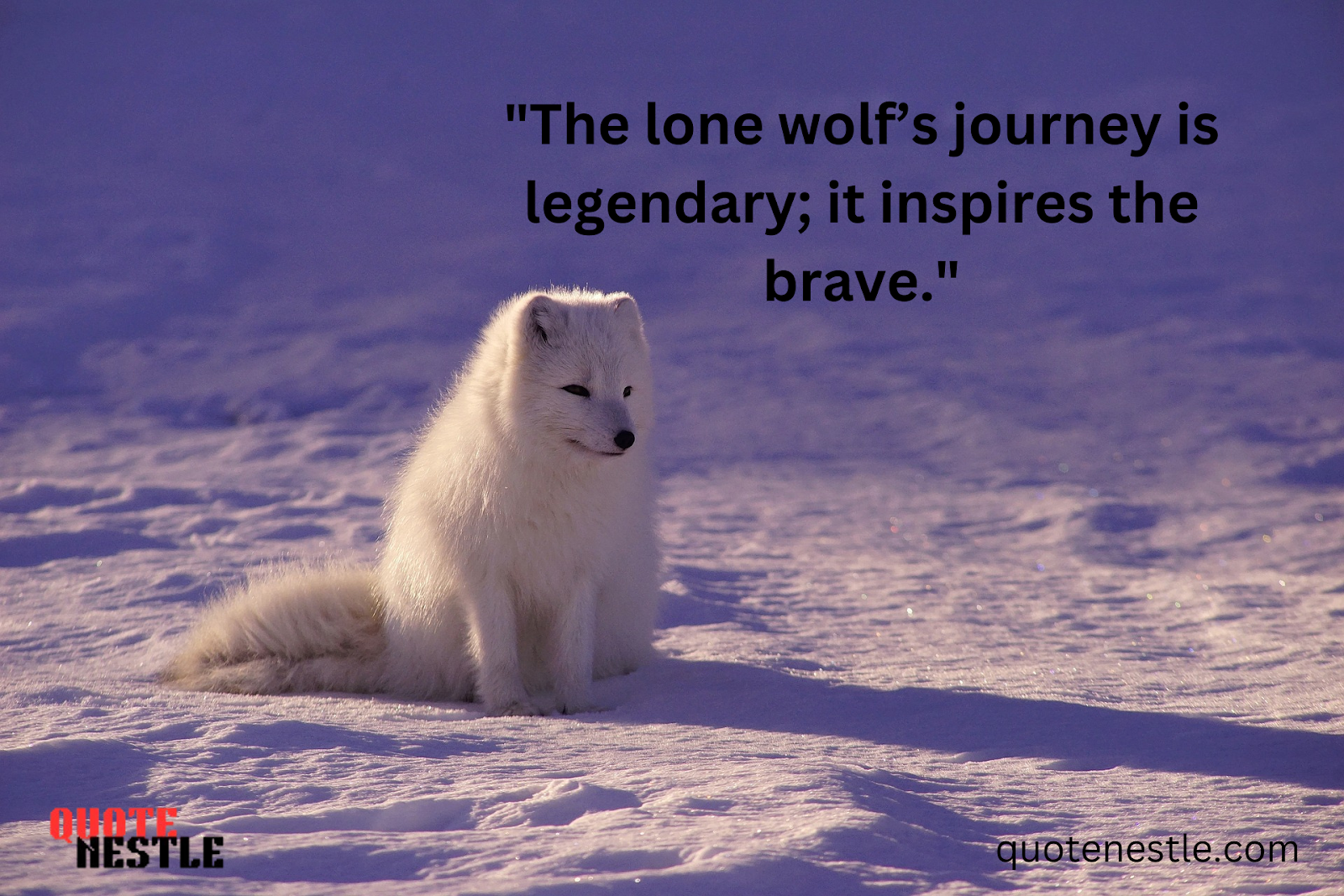 Female Lone Wolf Quotes
