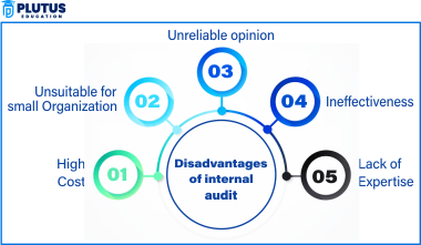 disadvantages of internal audit
