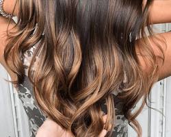 Image of Chestnut brown hair color