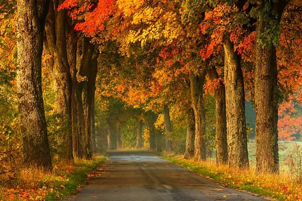 Scenes of Earth: 15 Nature Photos to Admire, earth scenes, admirable nature, nature, landscape, scenic pride, photo elegance