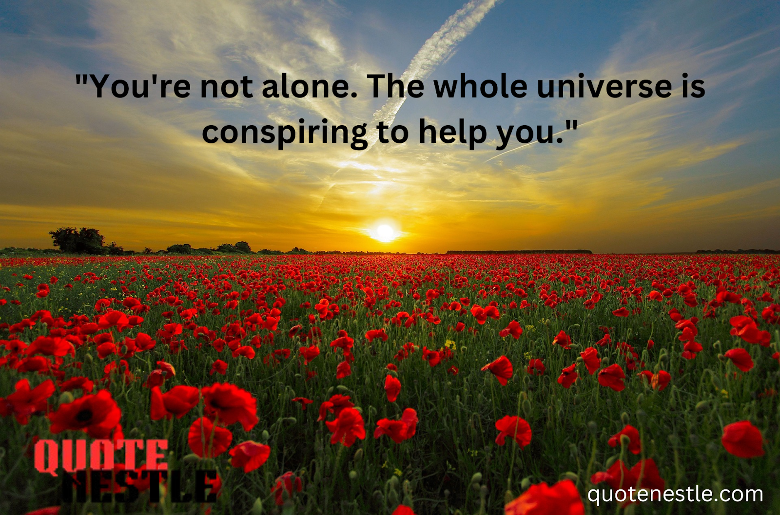 Comfort quotes