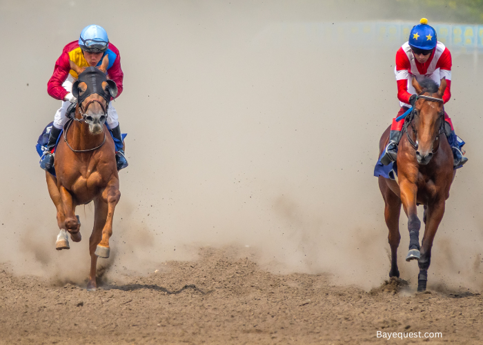 Thoroughbred Racing