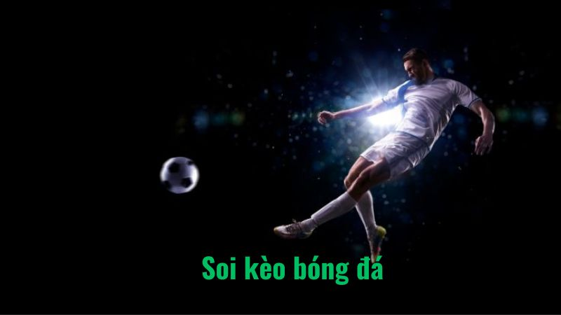 Tính Năng Nổi Bật Của Vebotv