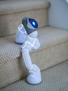 Robot - Commits - Suicide - by - Falling - On - The - Staircase - In - The - USA