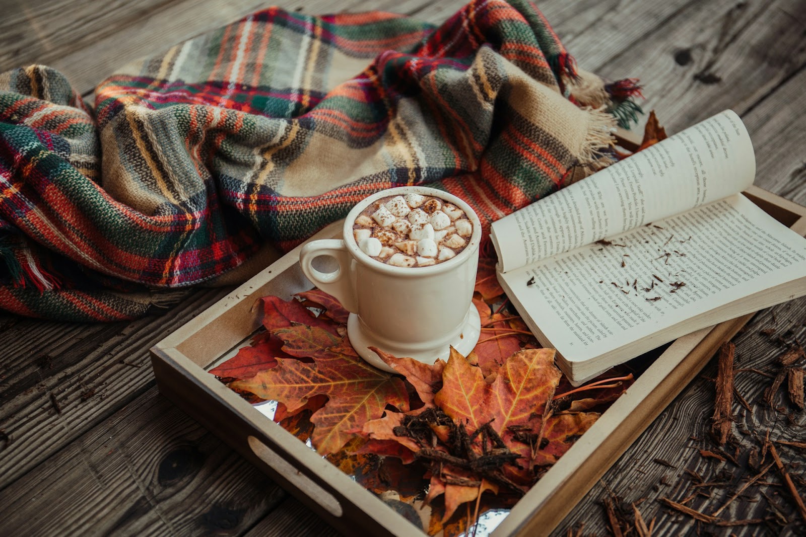 An autumn scene with a tray, an open book, a blanket, and a hot chocolate with marshmallows