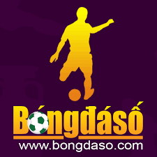 bongdaso - Hình 1