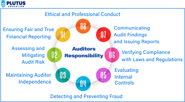 auditors responsibility