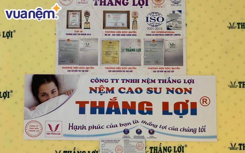 nệm Thắng Lợi có tốt không