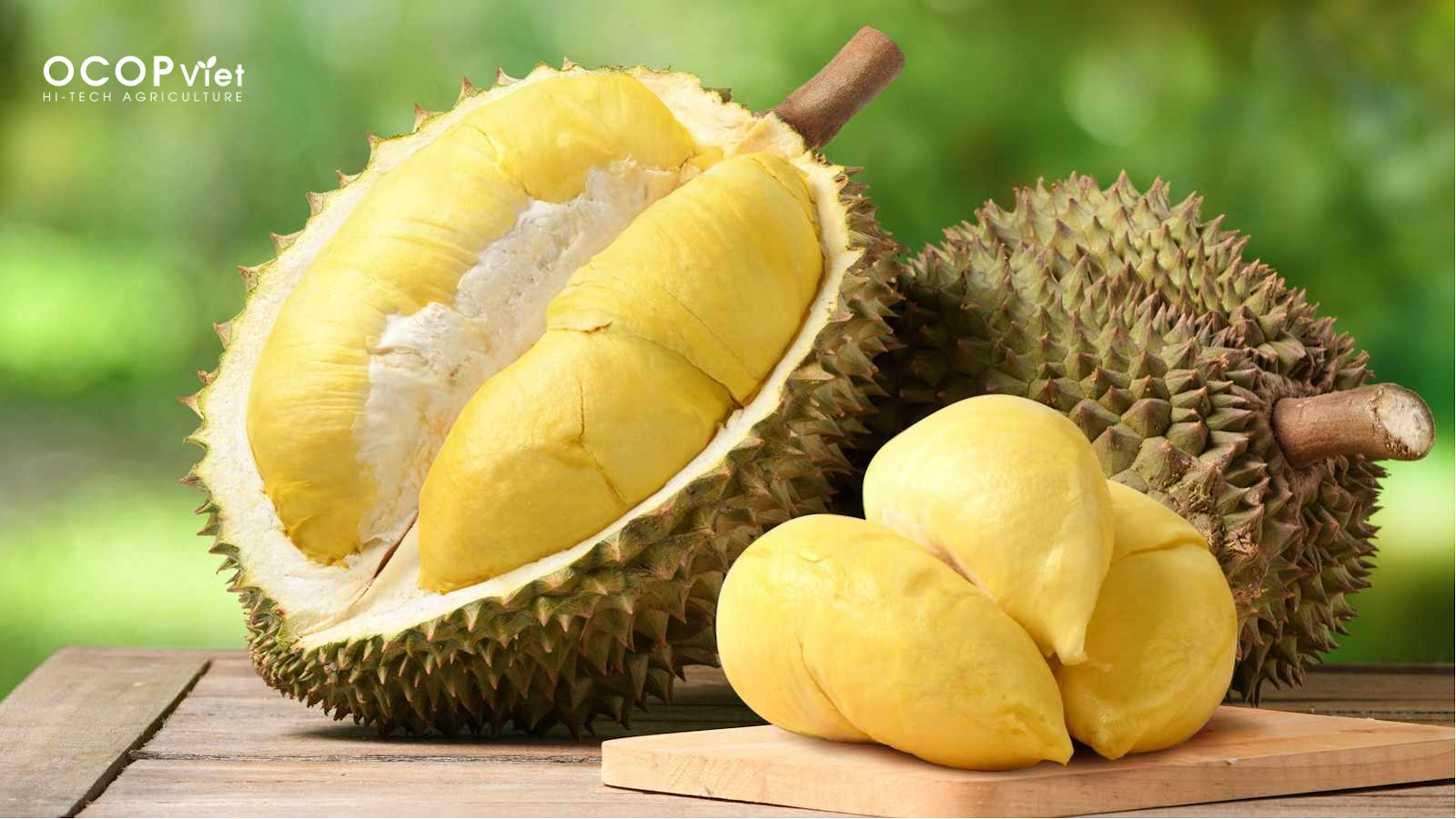top trái cây nhiệt đới