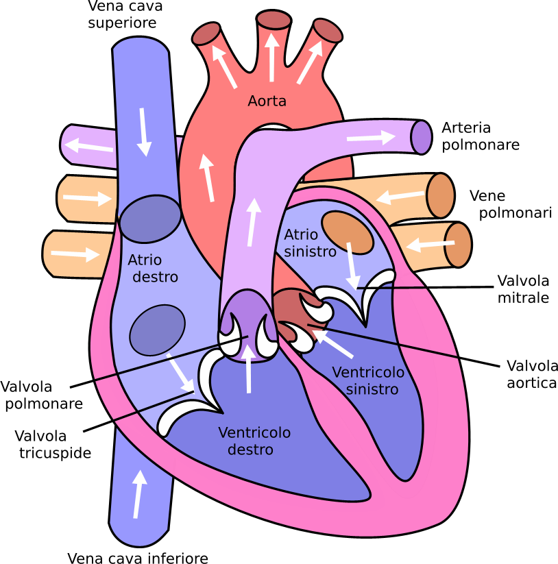 Diagram

Description automatically generated