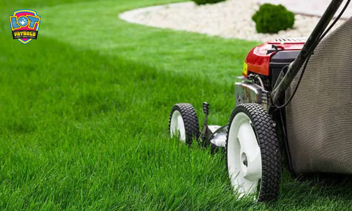 The Scope of Lawn Care Services