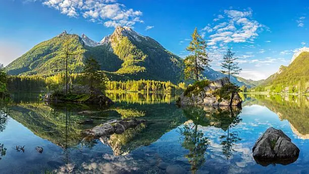 12 Reflections of Trees on Still Waters, tree reflection, still water, nature, forest, landscape, forest mirror, calm pond