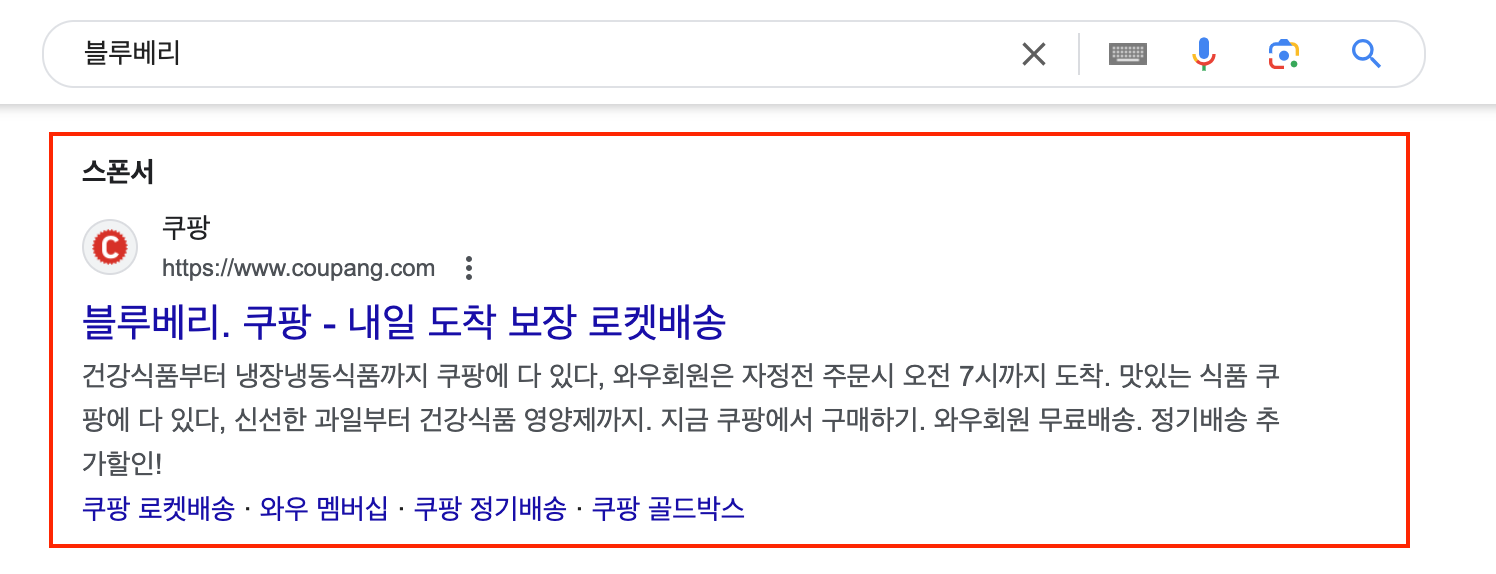 구글 '블루베리' 검색광고 페이지