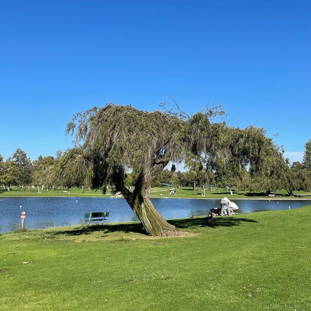 William R. Mason Regional Park