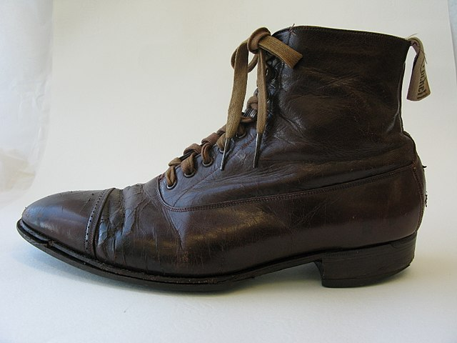 Leather shoe symbolizing the need to reduce demand for leather products as part of ethical sustainability efforts.