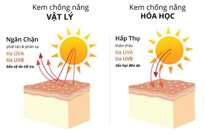 Các loại kem chống nắng phổ biến hiện nay