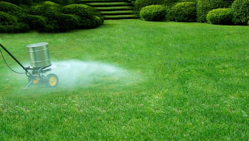 Fertilizer Tips for Healthy Green Spaces