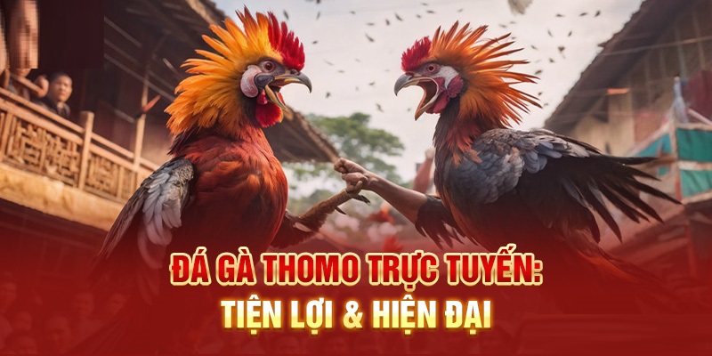 Kinh nghiệm chơi đá gà thomo