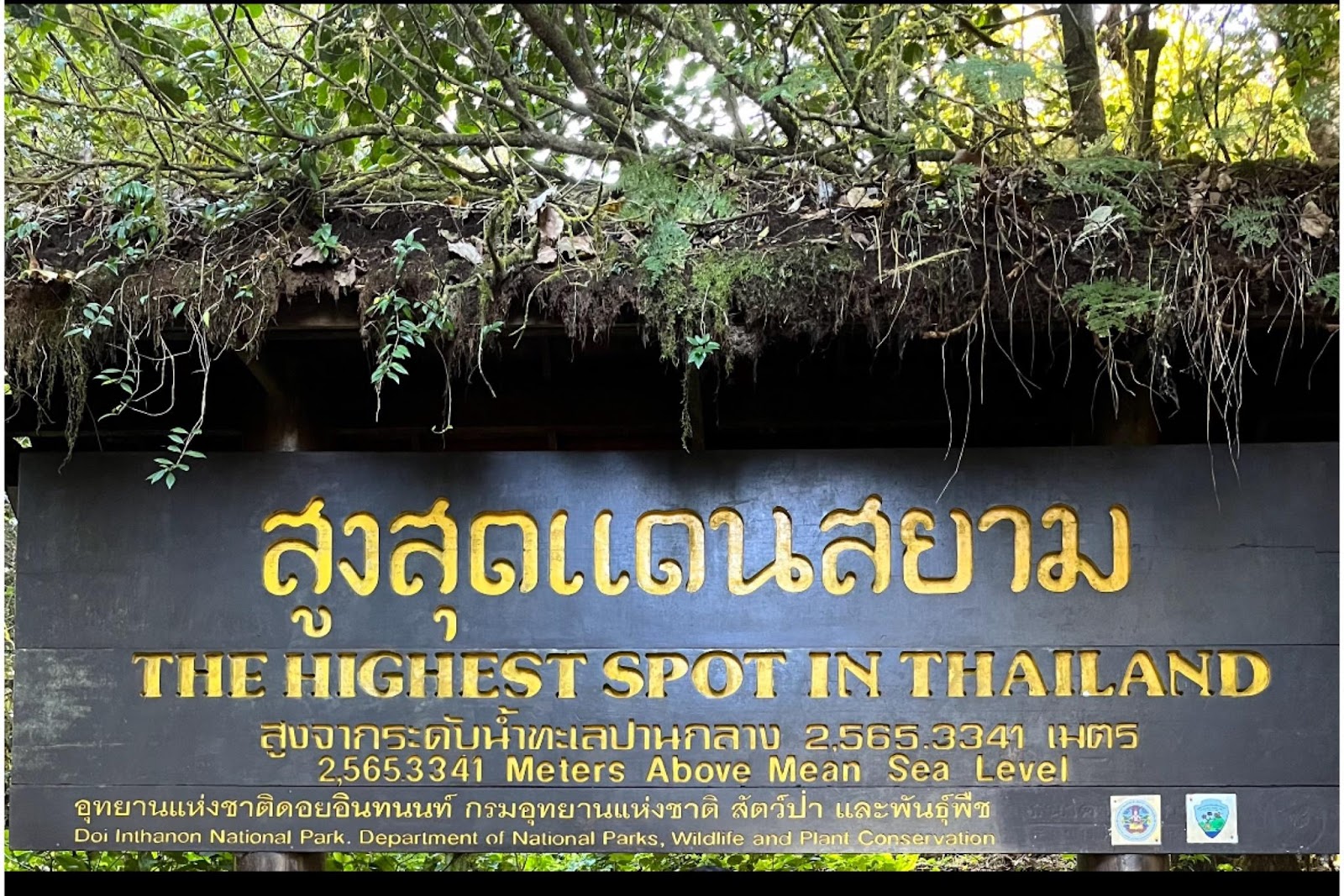 doi inthanon summit