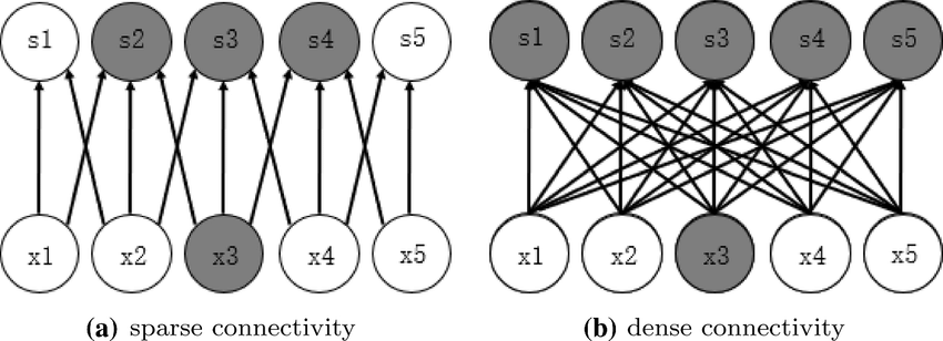 Sparse connectivity and dense connectivity (fully connected) | Download  Scientific Diagram