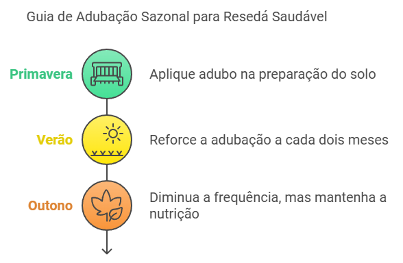 infografico de Calendário de Adubação