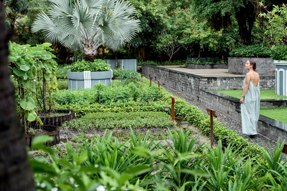A garden with plants and trees

AI-generated content may be incorrect.