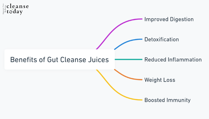 Gut Cleanse Juice