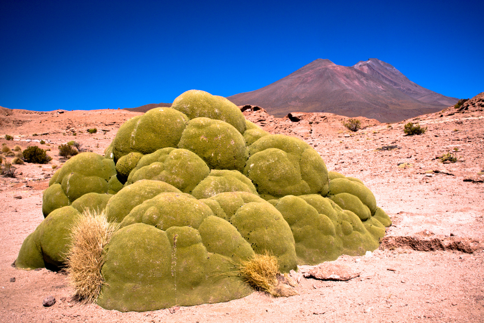 atacama desert stargazing