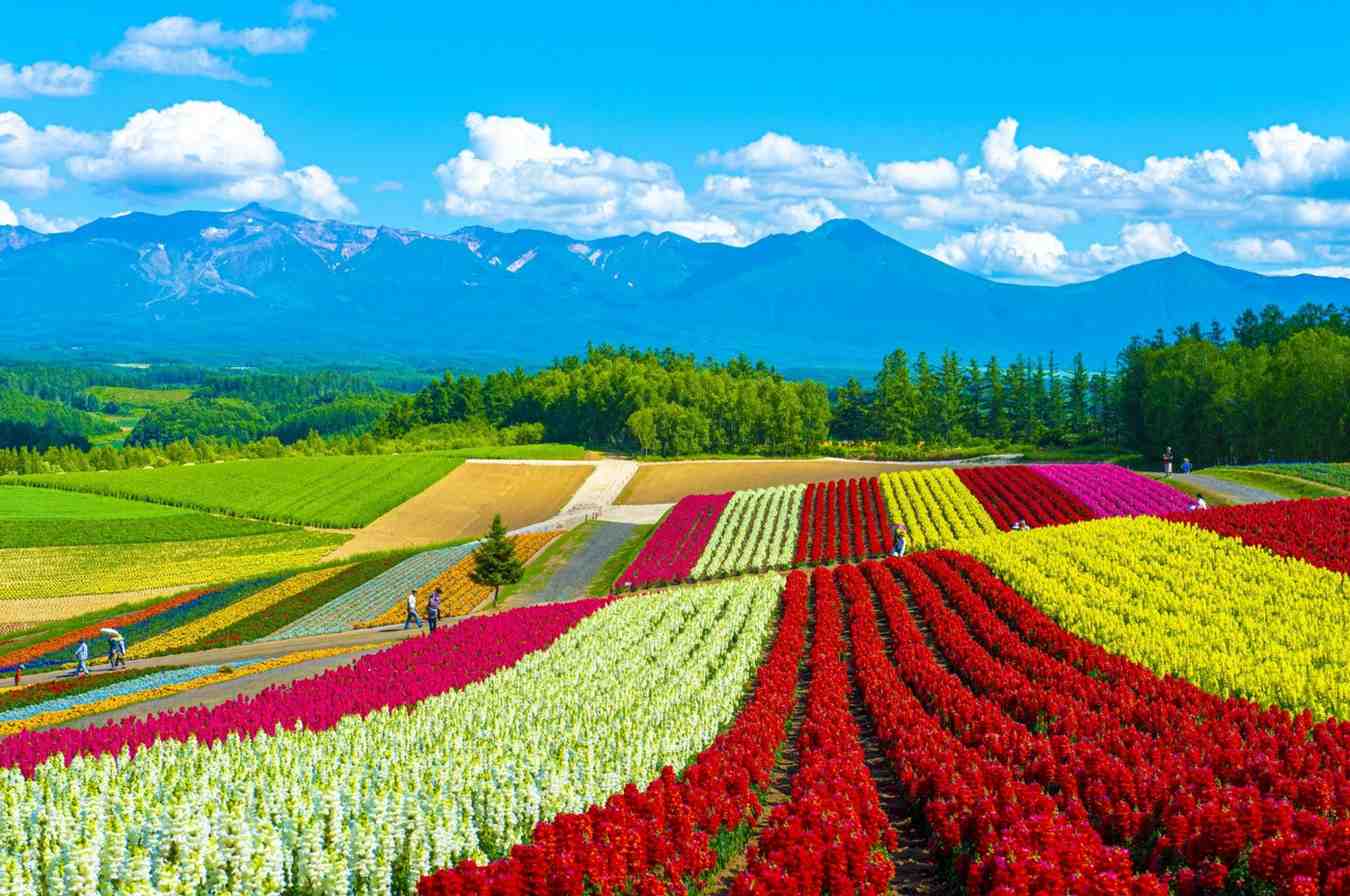 Hokkaido – Nature at Its Finest