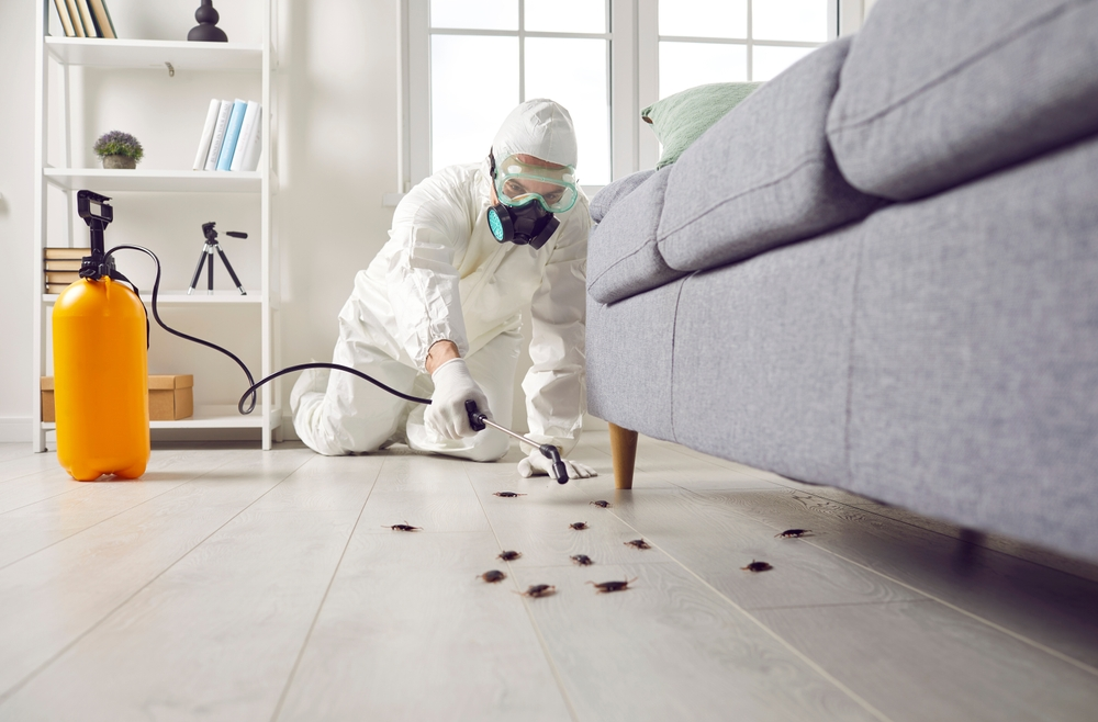Pest Control service