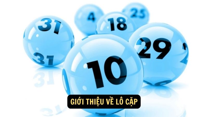 Giới thiệu về lô cặp