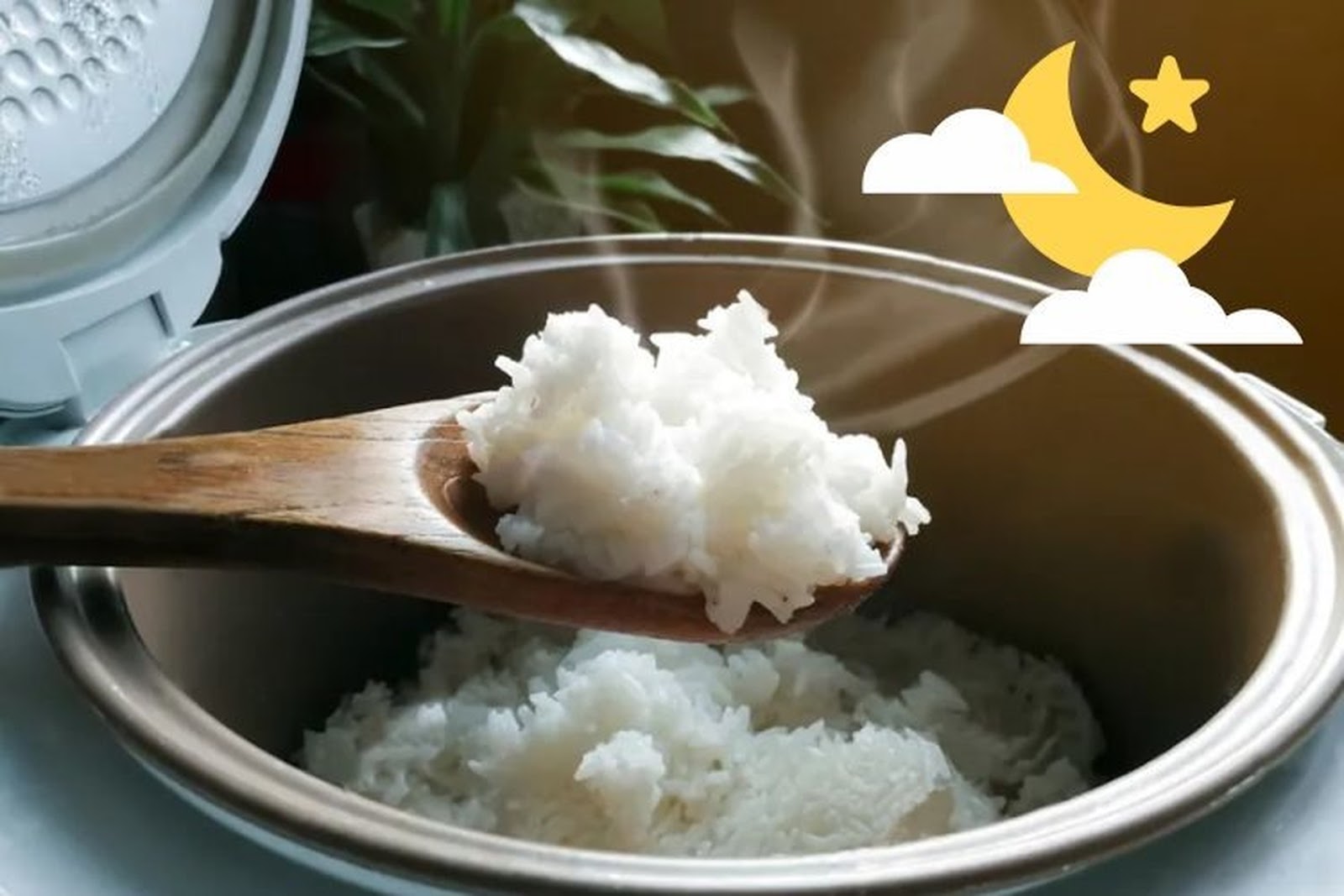 Cơm để qua đêm trong nồi cơm điện – Tiện lợi hay nguy hiểm?