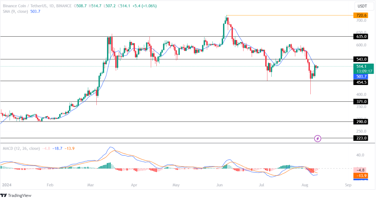 Binance Price Analysis