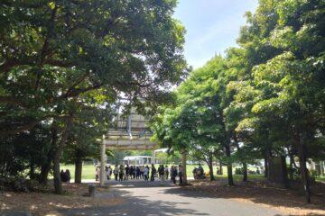 公園にある木

AI によって生成されたコンテンツは間違っている可能性があります。