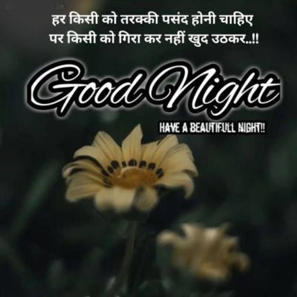 Good Night Quotes in Hindi [HD Photos] | शुभ रात्रि सुविचार