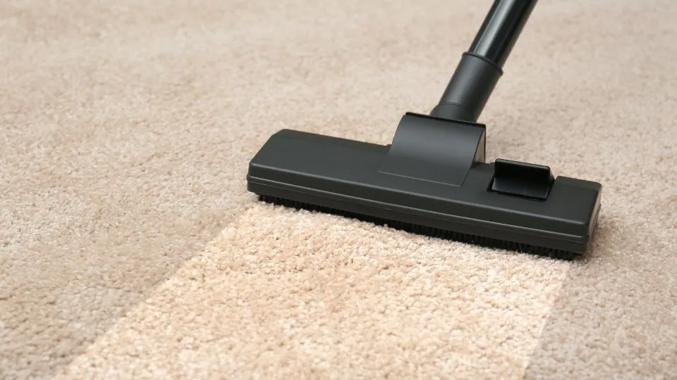 The Impact of Regular Carpet Cleaning