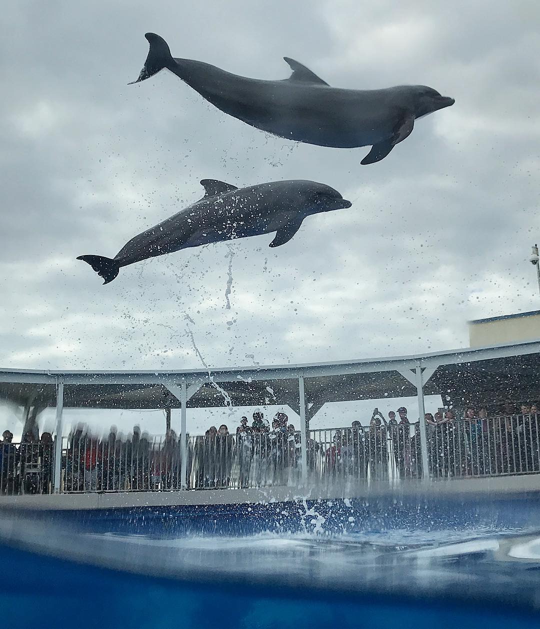 Gulfarium Marine Adventure Park