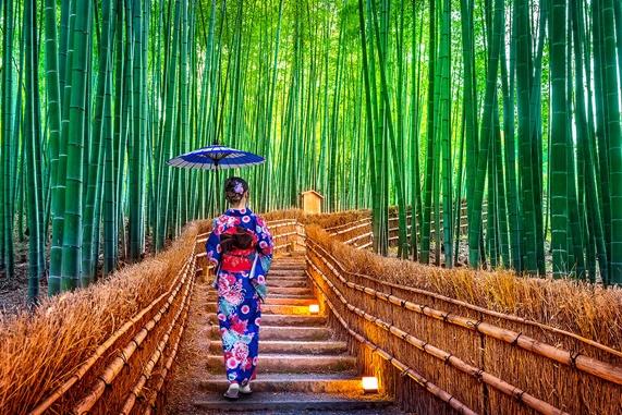 5 cách để khám phá rừng tre nổi tiếng thế giới của Nhật Bản - JAPAN  AIRLINES (JAL)