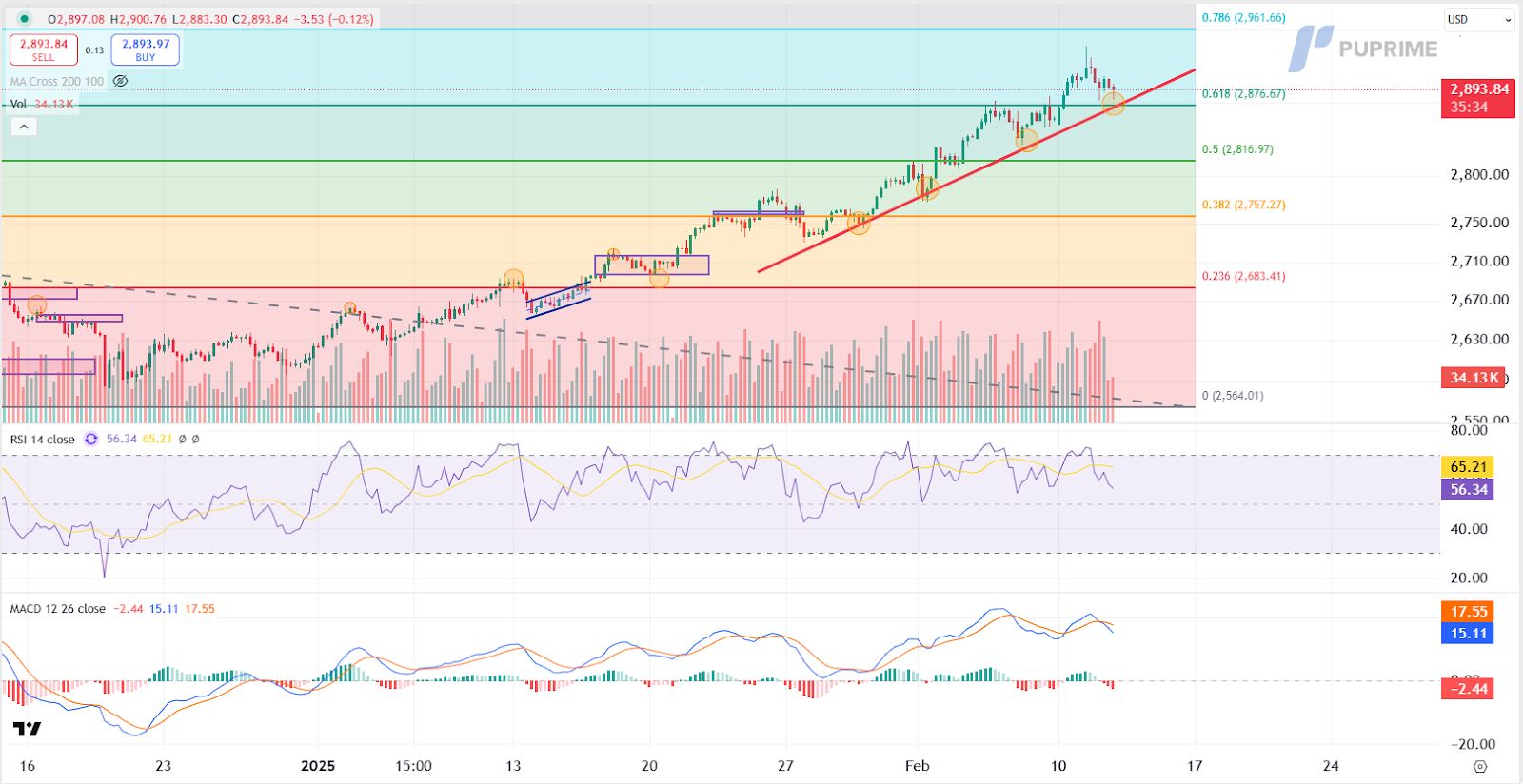 XAUUSD 12022025