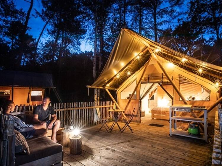 outdoor solar strings with luxury experience