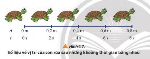 BÀI 4 CHUYỂN ĐỘNG THẲNGCâu 1: Hai bạn đều xuất phát từ cùng một vị trí để đi đến lớp học (Hình 4.1), một bạn đi bộ và một bạn đi xe đạp. Mặc dù đi chậm hơn nhưng bạn đi bộ lại đến lớp trước bạn đi xe đạp do bạn đi xe đạp dừng lại ở hiệu sách để mua bút và tài liệu học tập. Điều này được lí giải như thế nào theo góc độ vật lí?Giải nhanh: Quãng đường hai bạn đi được là như nhau, nhưng do bạn đi xe đạp sử dụng thời gian nhiều hơn bạn đi bộ nên bạn đi xe đạp đến lớp muộn hơn.1. Một số khái niệm cơ bản trong chuyển độngCâu 1: Vị trí và tọa độ của một vật có phụ thuộc vào vật làm gốc không? Cho một ví dụ trong thực tiễn để minh họa cho câu Giải nhanh của em.Giải nhanh: Vị trí và tọa độ của một vật có phụ thuộc vào vật làm gốc.Ví dụ: Từ nhà tới hiệu sách là 2 km, từ hiệu sách đến trường là 1 km. Nếu chọn gốc tại nhà thì tọa độ của hiệu sách là 2 km, của trường là 3 km. Nếu chọn gốc tại hiệu sách thì tọa độ của trường là 1 km, của nhà là –2 km.2. Tốc độCâu 1: Một vận động viên bơi lội người Mỹ đã từng lập kỷ lục thế giới ở nội dung bơi bướm 100m và 200m với thời gian lần lượt là 49,82 s và 111,51 s. Hãy lập luận để xác định vận động viên này bơi nhanh hơn trong trường hợp nào. (Nguồn số liệu: Giải vô địch các môn thể thao dưới nước thế giới năm 2009).Giải nhanh: Để xác định vận động viên này bơi nhanh hơn trong trường hợp nào thì ta so sánh tốc độ trong hai trường hợp.- Trường hợp 1: s = 100 m; t = 49,82 sTốc độ của vận động viên là: v=s / t=100 / 49,82 ≈ 2(m/s)- Trường hợp 2: s = 200 m; t = 111,51 sTốc độ của vận động viên là: v=s / t=200 / 111,51 ≈1,79(m/s)=> Tốc độ của vận động viên trong trường hợp 1 nhanh hơn trường hợp 2 nên vận động viên trong trường hợp 1 bơi nhanh hơn trường hợp 2.Câu 2: Nêu một số tình huống thực tiễn chứng tỏ tốc độ trung bình không diễn tả đúng tính nhanh chậm của chuyển động.Giải nhanh: Một người đi xe máy từ nhà đến trường với tốc độ trung bình là 30 km/h. Nhưng trong quá trình di chuyển, 5 phút đầu tiên người đi xe đi với vận tốc là 50 km/h, sau đó đến đoạn đường trơn, người này giảm vận tốc xuống 25 km/h.Từ ví dụ trên, ta thấy rằng có đoạn đường thì xe đi nhanh, có đoạn đường thì xe đi chậm=> Tốc độ trung bình không diễn tả đúng tính nhanh chậm của chuyển động.Câu 3: Trong truyện ngụ ngôn Rùa và Thỏ, tốc độ nào cho thấy Thỏ được xem là chạy nhanh hơn Rùa? Tuy nhiên, Rùa lại chiến thắng trong cuộc đua này, hãy so sánh tốc độ trung bình của Rùa và ThỏGiải nhanh: Trong truyện ngụ ngôn Rùa và Thỏ, vận tốc tức thời cho thấy Thỏ được xem là chạy nhanh hơn Rùa.Tuy nhiên, Rùa lại chiến thắng trong cuộc đua, vì vậy tốc độ trung bình của Rùa lớn của Thỏ.3. Vận tốcCâu 1: Quan sát hình 4.4 và đọc hai tình huống để xác định quãng đường đi được và chiều chuyển động của hai xe trong hình 4.4a và vận động viên trong hình 4.4b sau khoảng thời gian đã xác định Giải nhanh: Quãng đường đi được = Khoảng cách từ vị trí đầu đến vị trí cuối trong quá trình chuyển động.Chiều chuyển động của hai xe trong hình 4.4a:+ Xe A chuyển động theo chiều dương+ Xe B chuyển động ngược chiều dươngChiều chuyển động của vận động viên bơi; Vận động viên bơi theo chiềuCâu 2: Xác định quãng đường đi được và độ dịch chuyển của hai xe trong tình huống 1 (Hình 4.4a) và vận động viên trong tình huống 2 (Hình 4.4b). Giải nhanh: - Tình huống 1 (Hình 4.4a)+ Quãng đường đi được của hai xe là: sA = sB = xB – xA+ Độ dịch chuyển của xe A: dA = xB – xA+ Độ dịch chuyển của xe B: dB = xA – xB- Tình huống 2 (Hình 4.4b)+ Quãng đường và độ dịch chuyển của vận động bằng nhau và đều bằng lCâu 3: Xét quãng đường AB dài 1000m với A là vị trí nhà của em và B là vị trí của bưu điện (Hình 4.6). Tiệm tạp hóa nằm tại vị trí C là trung điểm của AB. Nếu chọn nhà em làm gốc tọa độ và chiều dương hướng từ nhà em đến bưu điện. Hãy xác định độ dịch chuyển của em trong các trường hợp:a) Đi từ nhà đến bưu điện.b) Đi từ nhà đến bưu điện rồi quay về tiệm tạp hóa.c) Đi từ nhà đến tiệm tạp hóa rồi quay về.Giải nhanh: a) Vị trí đầu: nhà, x1 = 0Vị trí cuối: bưu điện, x2 = AB=> Độ dịch chuyển: d = x2 – x1 = AB.b) Vị trí đầu: nhà, x1 = 0Vị trí cuối: tiệm tạp hóa, x2 = AC=> Độ dịch chuyển: d = x2 – x1 = AC.c) Vị trí đầu: nhà, x1 = 0Vị trí cuối: nhà, x2 = 0=> Độ dịch chuyển: d = x2 – x1 = 0. 