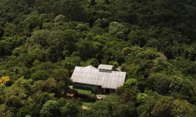 Jardim com árvores

Descrição gerada automaticamente