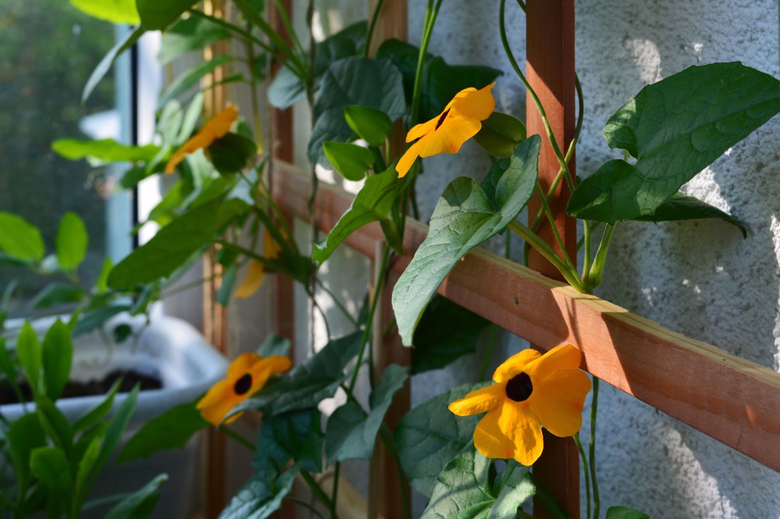 flower wall leaf