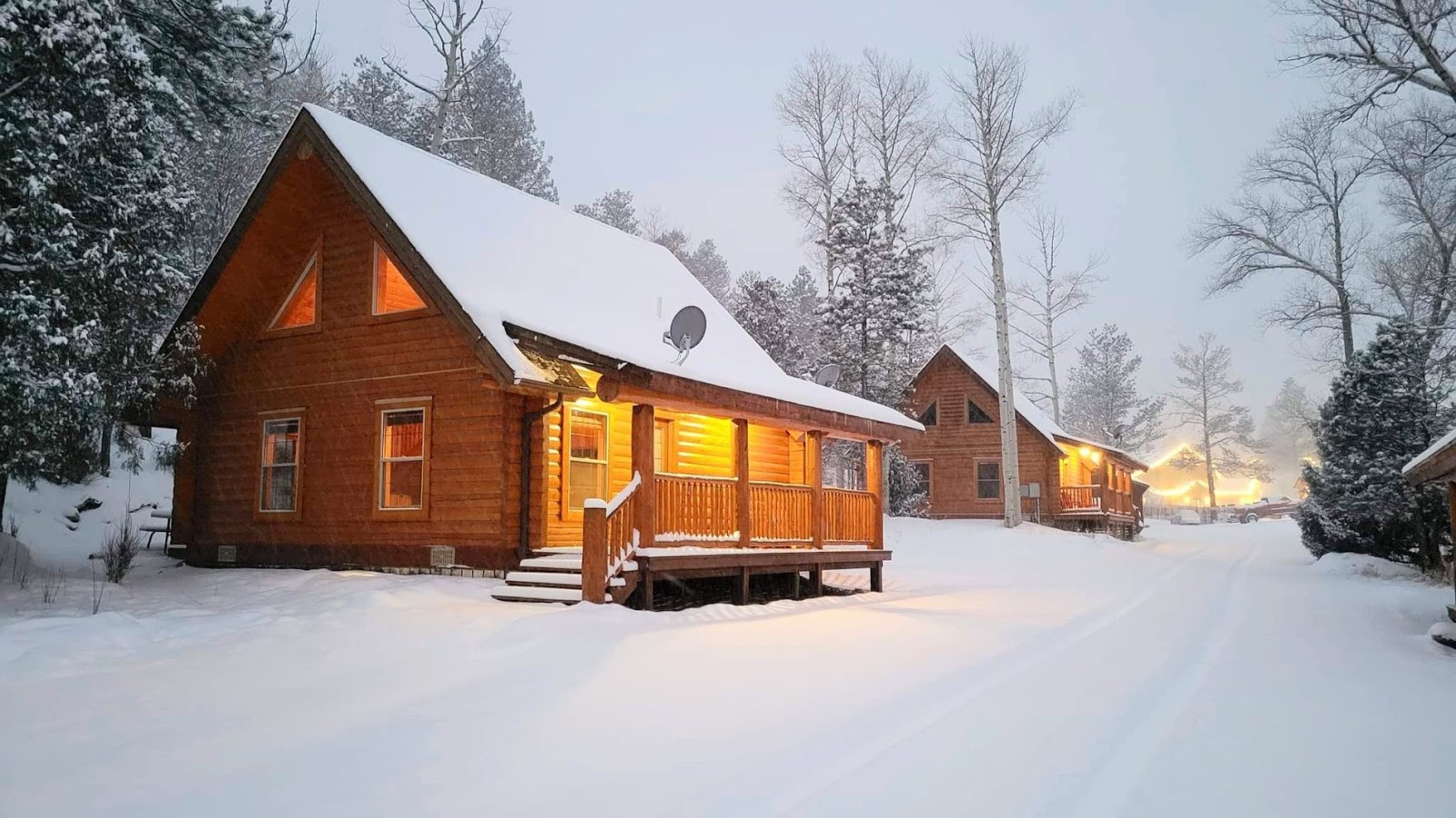 cabin snow trees