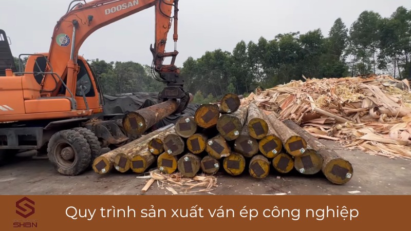 Quy trình sản xuất ván ép công nghiệp tại SHBN