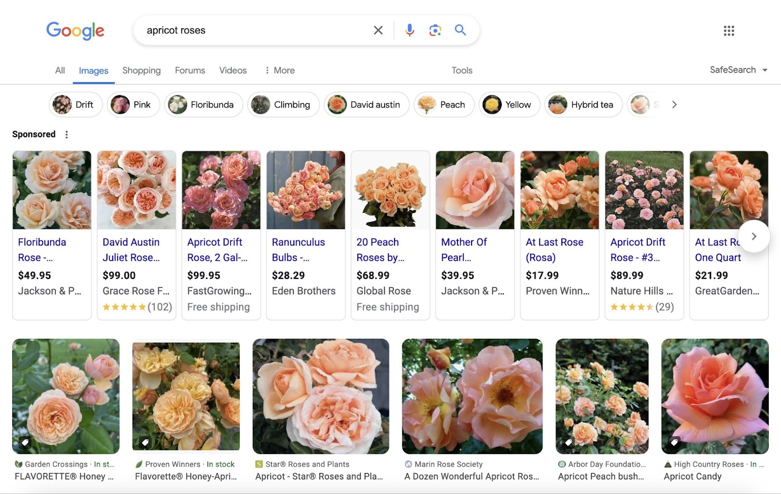 Top 10 SEO Tips for Beginners
