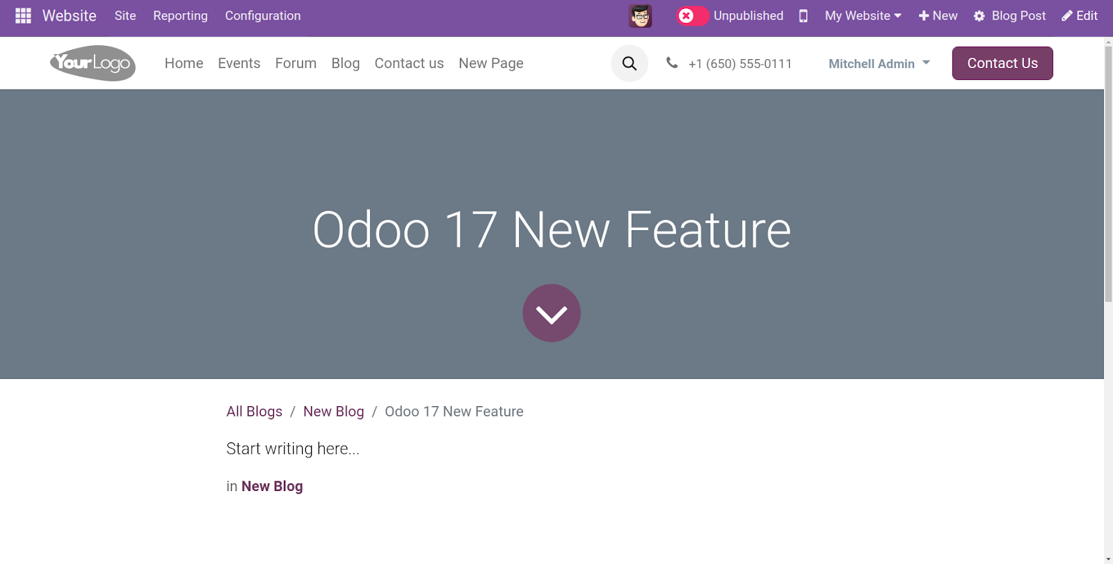 Odoo 17 website