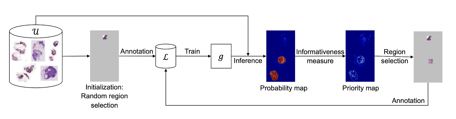 A workflow of region-based active learning approach for image segmentation