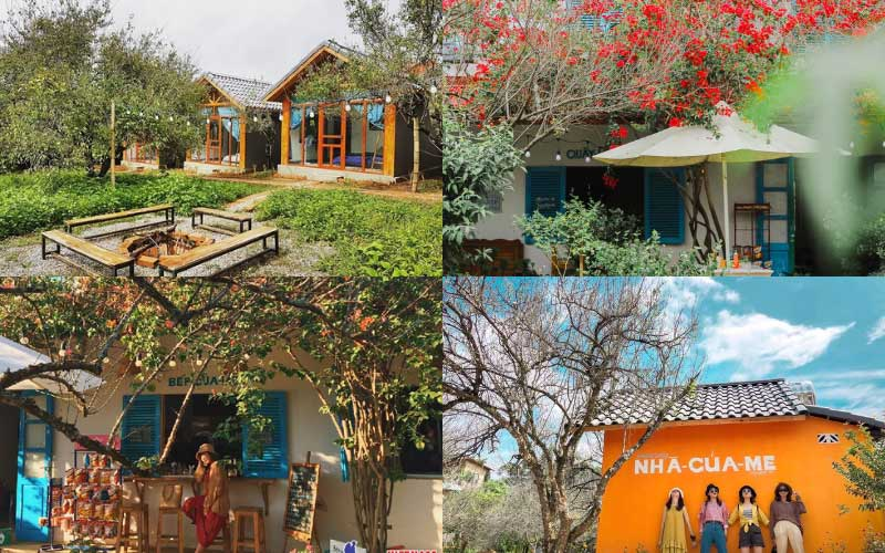 Không gian ấm áp, gần gũi, nhẹ nhàng tại Mama’s House Homestay
