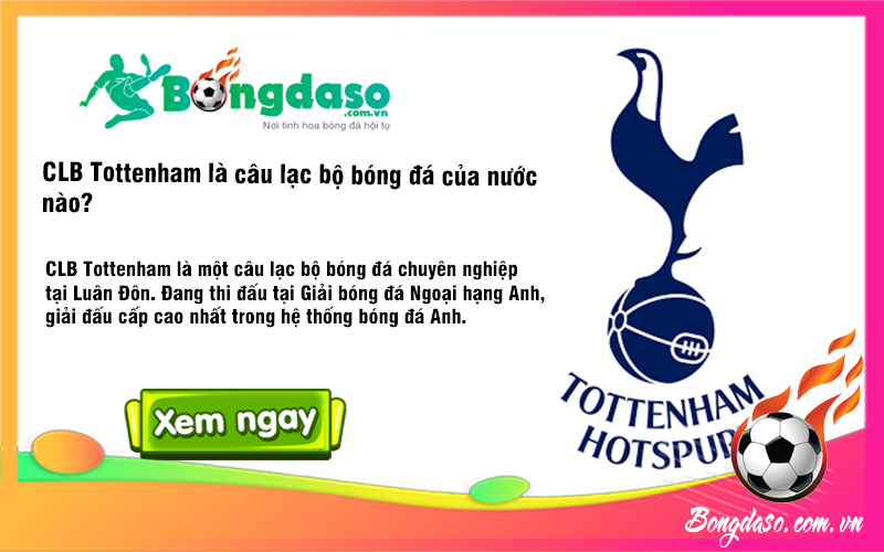 Bongdaso - Khám Phá Thế Giới Bóng Đá Đầy Hấp Dẫn